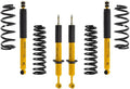 OME 2.5 inch 4Runner (03-09) Lift Kit Old Man Emu Suspension OME4R-4GEN Fits 4th Gen Toyota 4Runner (Standard 200 lbs.)